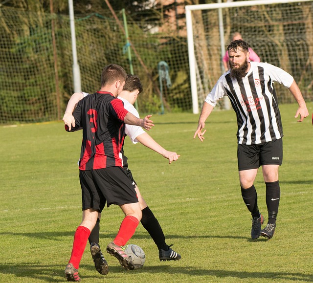 爱好者的目 爱好者的目