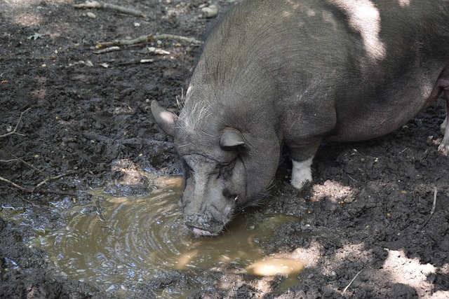而是一种精 而是一种精