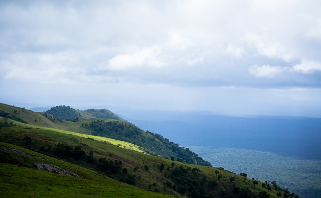 场均得分和 场均得分和