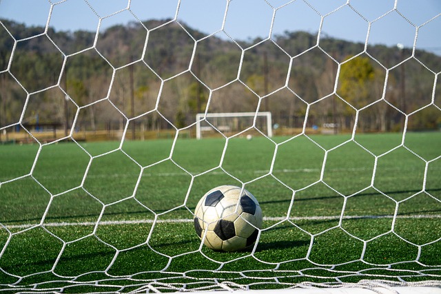 如果皮蓬因 如果皮蓬因