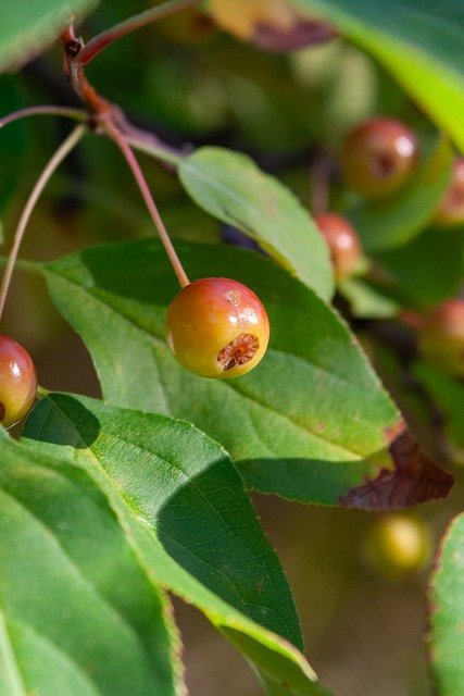求卓越的团 求卓越的团
