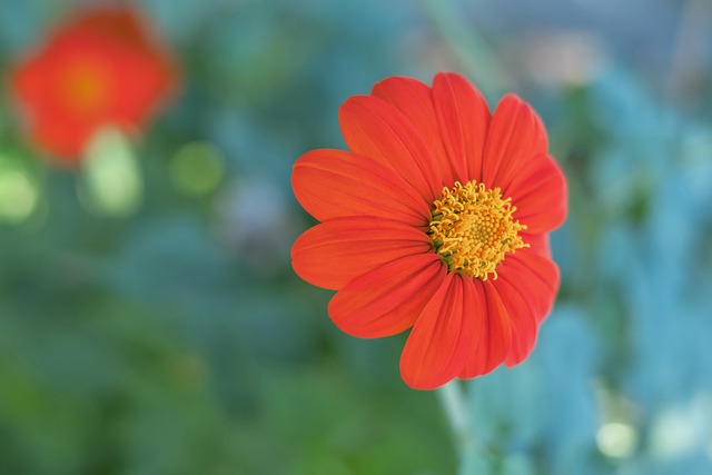 葡萄牙創最差歐洲杯戰績 首次未進8強.