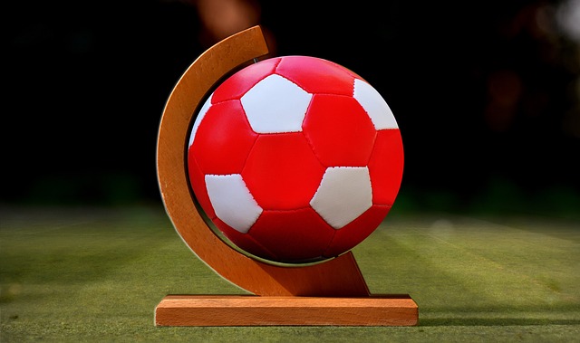 奥运冠军郑思维成为校外辅导员,寄语同学们做自己的冠军.